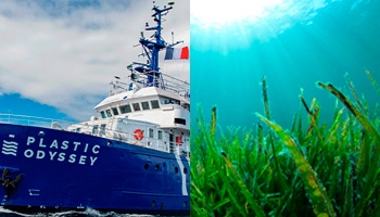 THALGO PARCEIRA DE FONDATION DE LA MER NOS PROJETOS PLASTIC ODISSEY E POSIDONIE